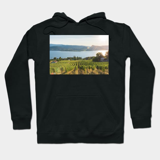 Okanagan Valley Vineyard View Hoodie by Amy-K-Mitchell